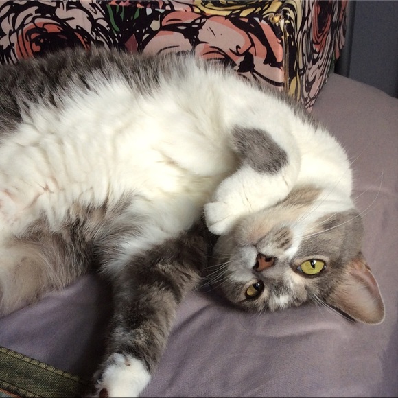 Meet your Posher, Andrea 🕸🥀🕸 - Picture 4 of 11